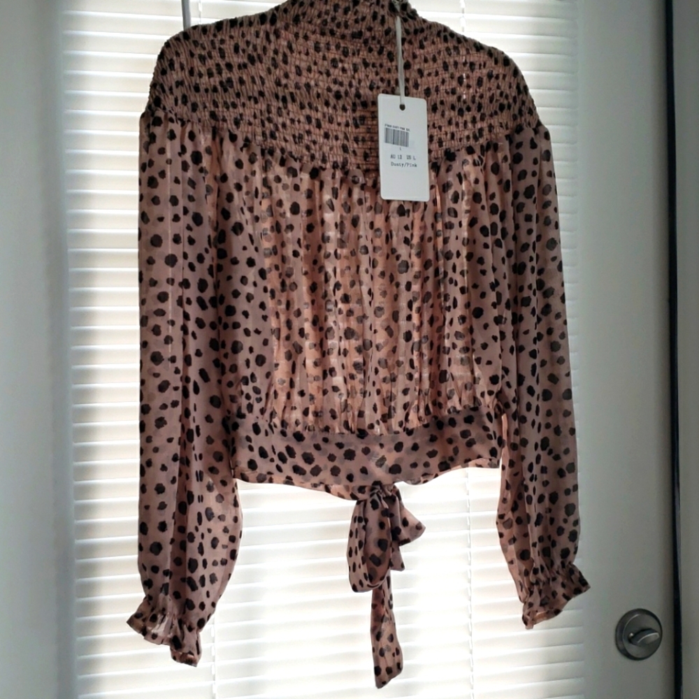 Adorable sheer blouse